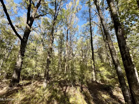 000 Loring Rd, Pickens, MS 39146 photo 9