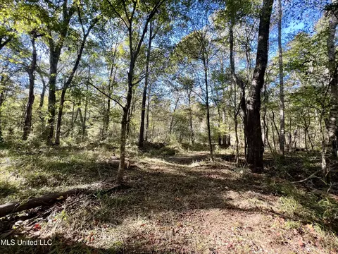 000 Loring Rd, Pickens, MS 39146 photo 14