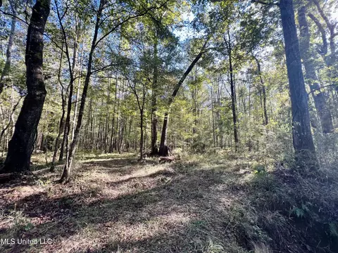 000 Loring Rd, Pickens, MS 39146 photo 13