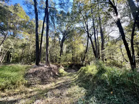 000 Loring Rd, Pickens, MS 39146 photo 11