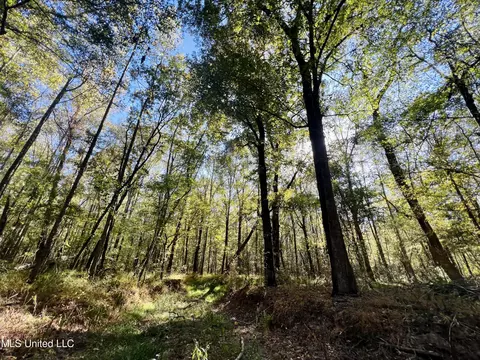 000 Loring Rd, Pickens, MS 39146 photo 21