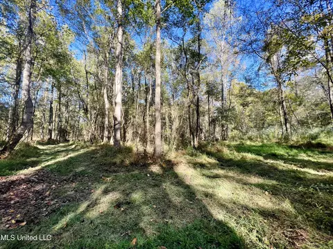 000 Loring Rd, Pickens, MS 39146 photo 15