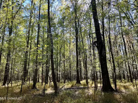 000 Loring Rd, Pickens, MS 39146 photo 6