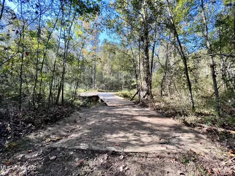 000 Loring Rd, Pickens, MS 39146 photo 16