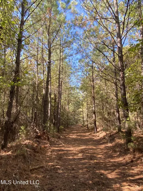 W South Street, Kosciusko, MS 39090