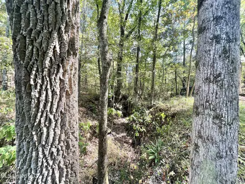 5956 Ascalmore Creek Rd # X, Cascilla, MS 38920 photo 57