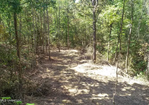 5956 Ascalmore Creek Rd # X, Cascilla, MS 38920 photo 33