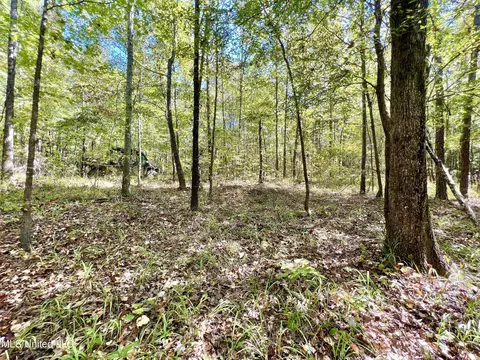 5956 Ascalmore Creek Rd # X, Cascilla, MS 38920 photo 44