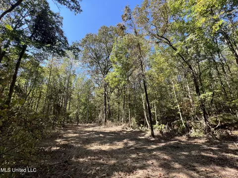 5956 Ascalmore Creek Rd # X, Cascilla, MS 38920 photo 65