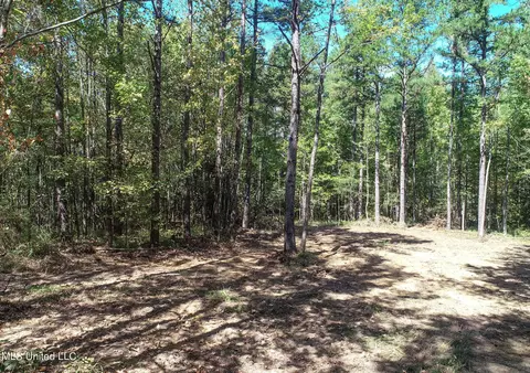 5956 Ascalmore Creek Rd # X, Cascilla, MS 38920 photo 20