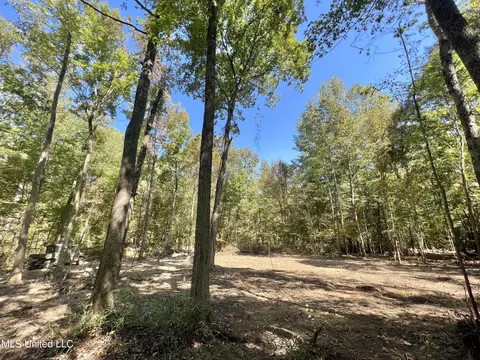 5956 Ascalmore Creek Rd # X, Cascilla, MS 38920 photo 50