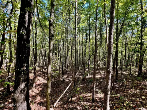5956 Ascalmore Creek Rd # X, Cascilla, MS 38920 photo 47