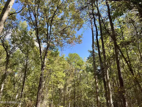5956 Ascalmore Creek Rd # X, Cascilla, MS 38920 photo 59