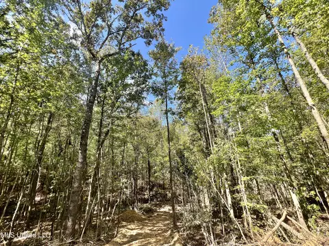 5956 Ascalmore Creek Rd # X, Cascilla, MS 38920 photo 54