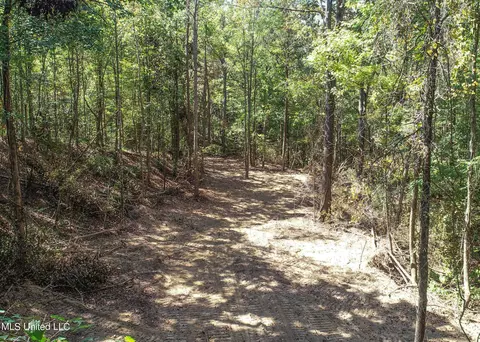 5956 Ascalmore Creek Rd # X, Cascilla, MS 38920 photo 31