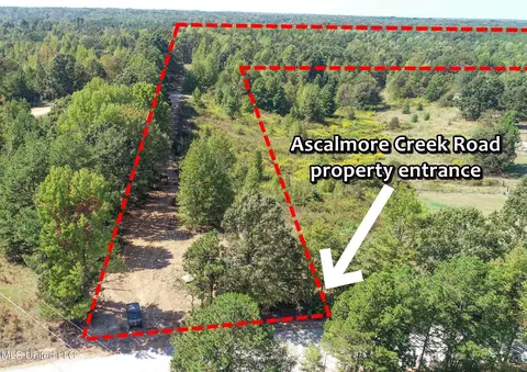 5956 Ascalmore Creek Rd # X, Cascilla, MS 38920 photo 5