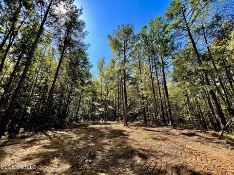 5956 Ascalmore Creek Rd # X, Cascilla, MS 38920 photo 39