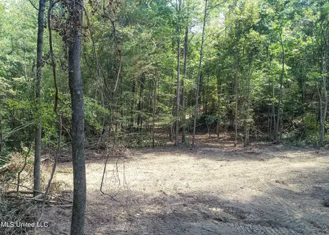 5956 Ascalmore Creek Rd # X, Cascilla, MS 38920 photo 14