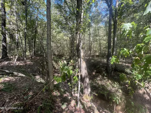 5956 Ascalmore Creek Rd # X, Cascilla, MS 38920 photo 55