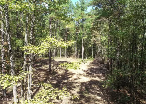 5956 Ascalmore Creek Rd # X, Cascilla, MS 38920 photo 19
