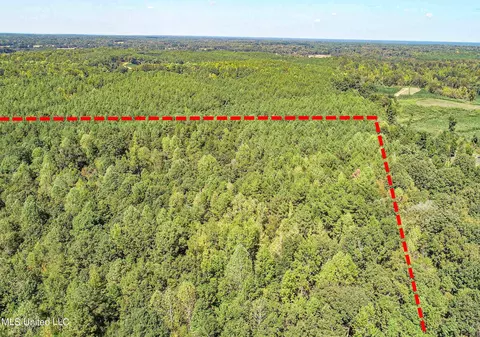 5956 Ascalmore Creek Rd # X, Cascilla, MS 38920 photo 25