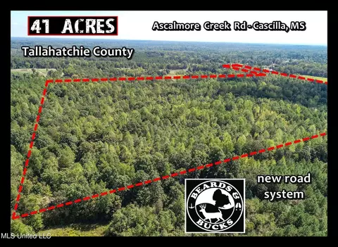 5956 Ascalmore Creek Rd # X, Cascilla, MS 38920