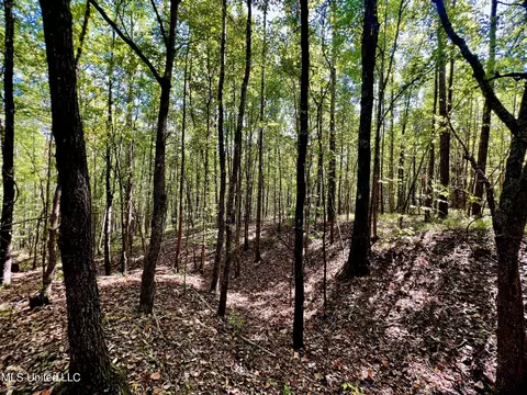 5956 Ascalmore Creek Rd # X, Cascilla, MS 38920 photo 46