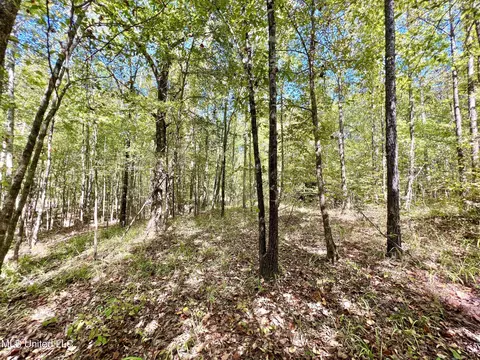 5956 Ascalmore Creek Rd # X, Cascilla, MS 38920 photo 45