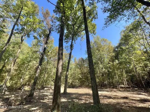5956 Ascalmore Creek Rd # X, Cascilla, MS 38920 photo 49