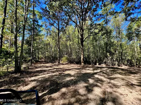 5956 Ascalmore Creek Rd # X, Cascilla, MS 38920 photo 36