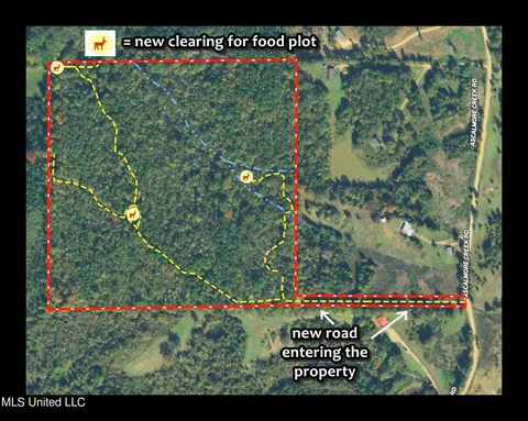 5956 Ascalmore Creek Rd # X, Cascilla, MS 38920 photo 6