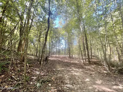5956 Ascalmore Creek Rd # X, Cascilla, MS 38920 photo 52