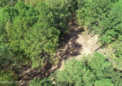 5956 Ascalmore Creek Rd # X, Cascilla, MS 38920 photo 17