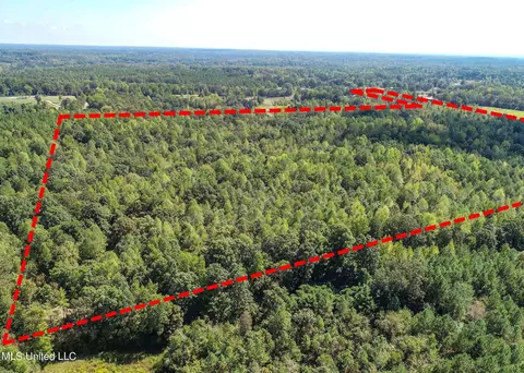 5956 Ascalmore Creek Rd # X, Cascilla, MS 38920 photo 8