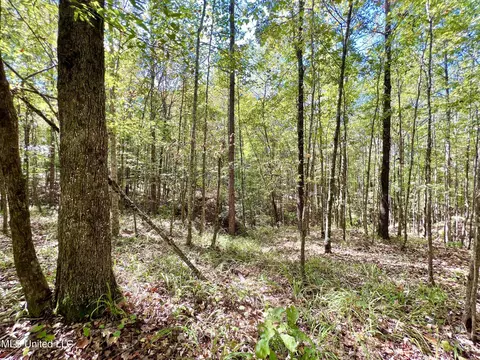 5956 Ascalmore Creek Rd # X, Cascilla, MS 38920 photo 41
