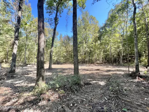 5956 Ascalmore Creek Rd # X, Cascilla, MS 38920 photo 48