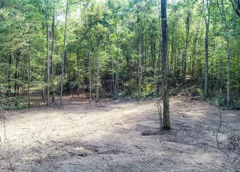 5956 Ascalmore Creek Rd # X, Cascilla, MS 38920 photo 13
