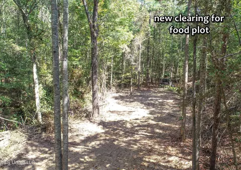 5956 Ascalmore Creek Rd # X, Cascilla, MS 38920 photo 30