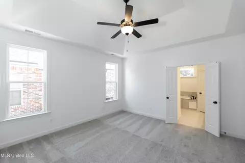 Other - 3501 Hatton Dr, Nesbit, MS 38651 photo 4 of 13