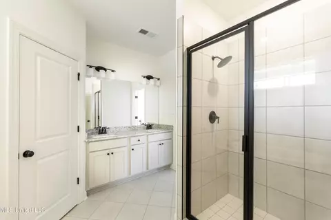 Bath - 3501 Hatton Dr, Nesbit, MS 38651 photo 2 of 5