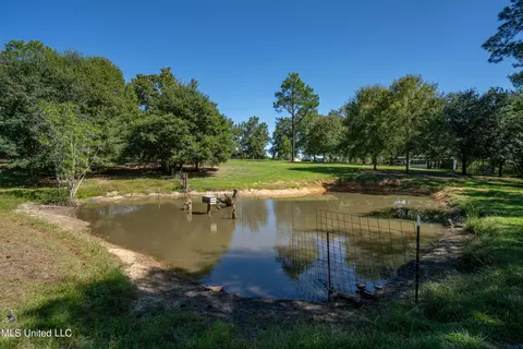 24752 Tally Shaw Rd, Perkinston, MS 39573 photo 32