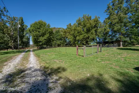 24752 Tally Shaw Rd, Perkinston, MS 39573 photo 29
