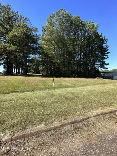 0 E Hospital Rd, Sardis, MS 38666 photo 2