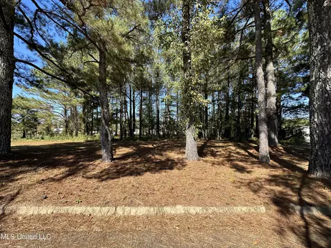 0 E Hospital Rd, Sardis, MS 38666 photo 4