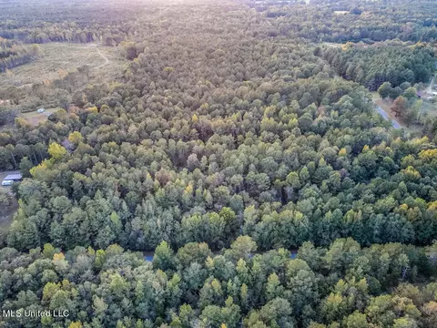 lot5 Mac Pate Rd, West Point, MS 39773 photo 7