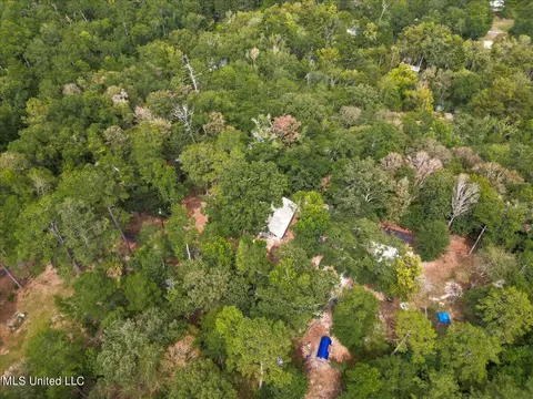 112 Hickory Nut Ln, Lucedale, MS 39452 photo 34