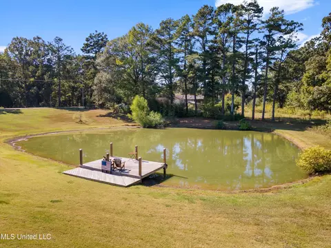3140 Holly Springs Rd, Hernando, MS 38632 photo 53