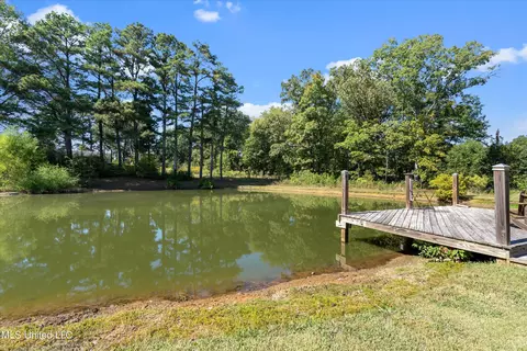 3140 Holly Springs Rd, Hernando, MS 38632 photo 54