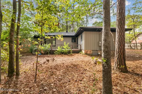 222 Matthew Dr, Brandon, MS 39042 photo 68