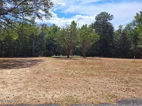 06 Old Gravel 49, Mendenhall, MS 39114